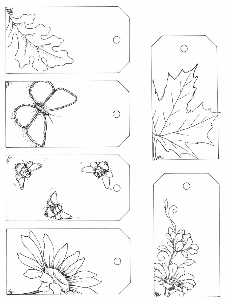 Spring Summer Fall Printable